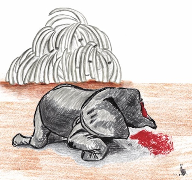 Crédits : Muriel Epailly Crédits : Muriel Epailly