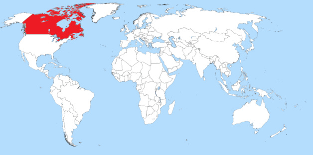 Canada : des chercheurs mettent au point une technique révolutionnaire pour combattre le cancer Canada : des chercheurs mettent au point une technique révolutionnaire pour combattre le cancer