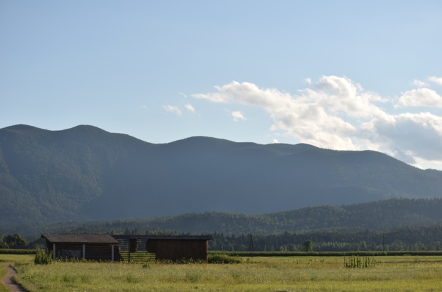 La campagne aux alentours de Cerkniča. Crédit Marie Crozier.