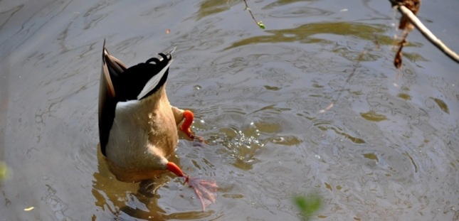 L'Europe de l'Est n'oublie pas ses vieux démons L'Europe de l'Est n'oublie pas ses vieux démons