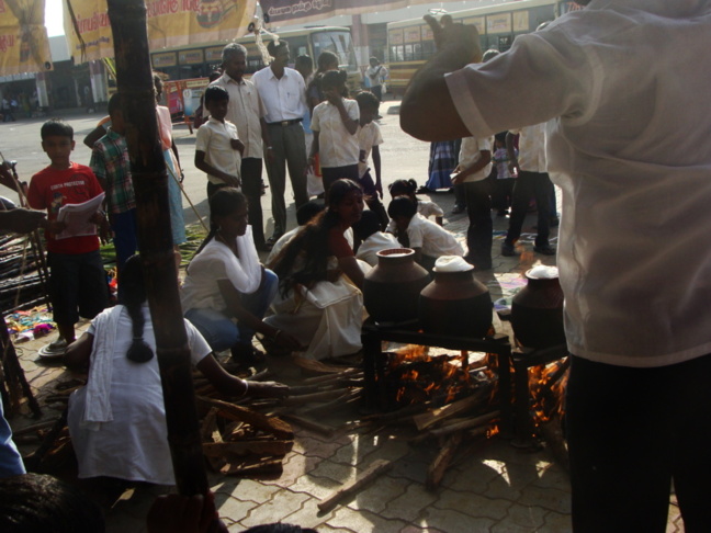 Le jour de Pongal, la cuisine se fait ensemble, peu importe sa caste