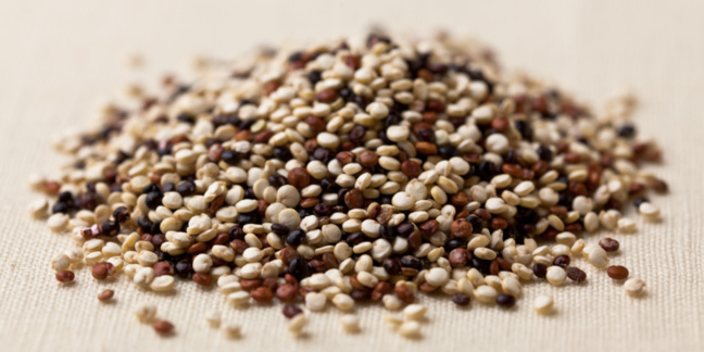Quinoa: Bolivia’s Golden Ticket to Catastrophe Quinoa: Bolivia’s Golden Ticket to Catastrophe