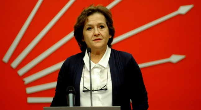 Birgül Ayman Güler, député du Parti Républicain du Peuple Birgül Ayman Güler, député du Parti Républicain du Peuple
