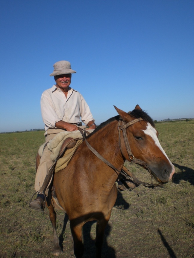 La ganadería de bovino, una destreza argentina La ganadería de bovino, una destreza argentina