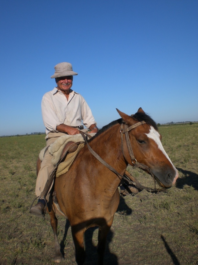 La ganadería de bovino, una destreza argentina