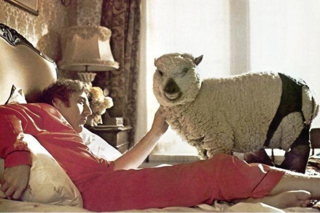 Allemagne, les zoophiles prennent du poil de la bête  Allemagne, les zoophiles prennent du poil de la bête