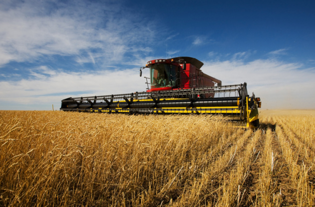 Acuerdo de libre intercambio entre la UE y EEUU: la agricultura en peligro Acuerdo de libre intercambio entre la UE y EEUU: la agricultura en peligro