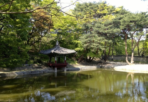 Secret Garden - Changdeokgung Palace | Crédit photo -- Axel Fix