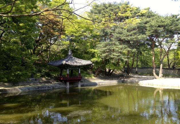 Secret Garden - Changdeokgung Palace | Crédit photo -- Axel Fix Secret Garden - Changdeokgung Palace | Crédit photo -- Axel Fix