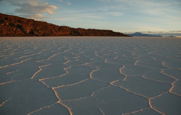 Îlot couvert de cactus au cœur du salar / Crédit Photo -- Audrey Sérandour