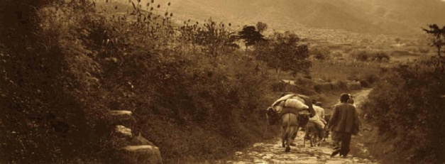 Crédit Photo -- MacMurray Photograph Additions, Volume VI, #22 Crédit Photo -- MacMurray Photograph Additions, Volume VI, #22