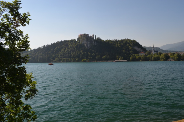 Bled | Crédits photo -- Laurène Perrussel-Morin/Le Journal International Bled | Crédits photo -- Laurène Perrussel-Morin/Le Journal International
