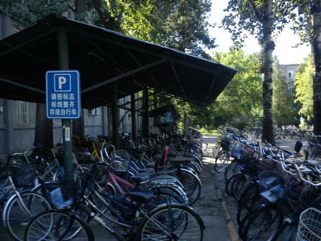 Bicycle ‘parking lot’ at Beijing University | Credits : Le Journal International
