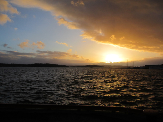 Crédits Photo -- Emma Lepetit/ Le Journal International Crédits Photo -- Emma Lepetit/ Le Journal International