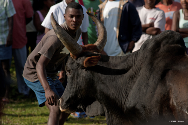Crédit E. Soler Crédit E. Soler