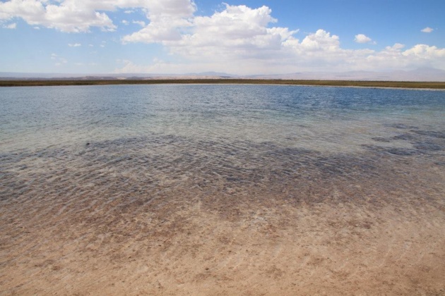 Crédit Elvire Charbonnel Crédit Elvire Charbonnel