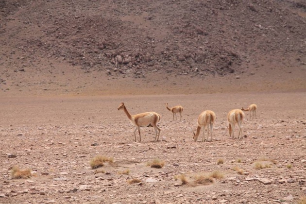 Crédit Elvire Charbonnel Crédit Elvire Charbonnel