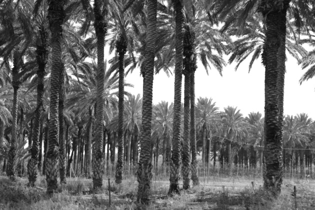 Crédit Hélène Gully Crédit Hélène Gully