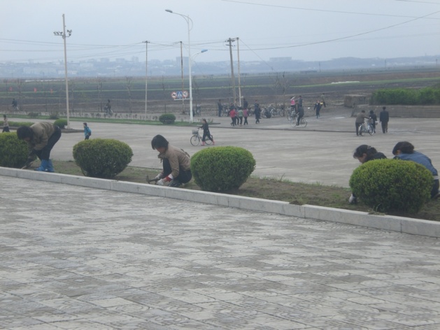 Des nord-coréens plantent l'herbe "révolutionnaire". Crédit Justine Jankowski