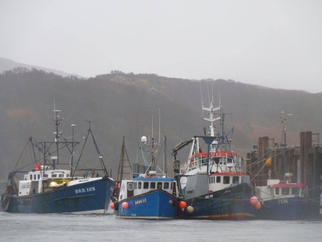 Crédit photo Alice Quistrebert Crédit photo Alice Quistrebert