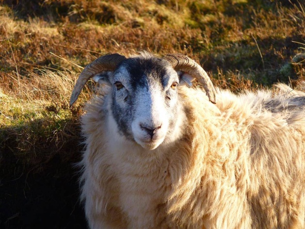 Crédit photo Alice Quistrebert Crédit photo Alice Quistrebert