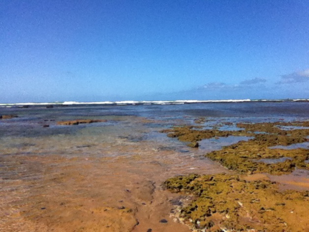 Crédit Geneviève Lodovici Crédit Geneviève Lodovici