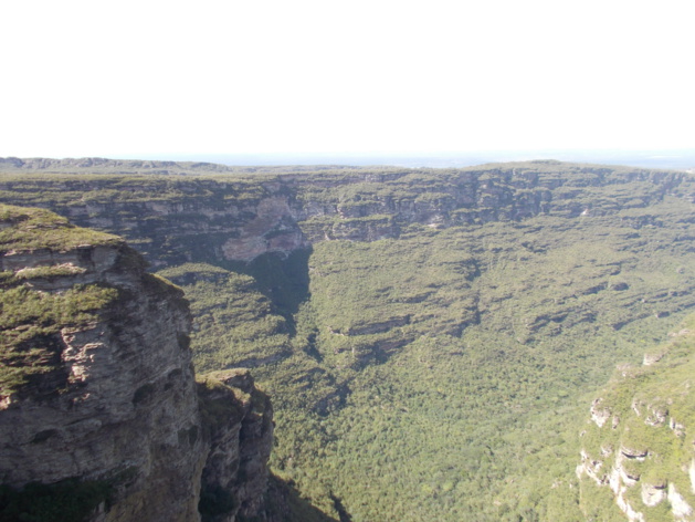 Crédit Geneviève Lodovici Crédit Geneviève Lodovici