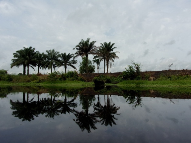 Beau reflet sur le lac du Togbo. Crédit Clara Robert de Treglode