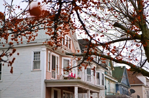 Elmwood Street - Crédit Mathilde Grenod Elmwood Street - Crédit Mathilde Grenod