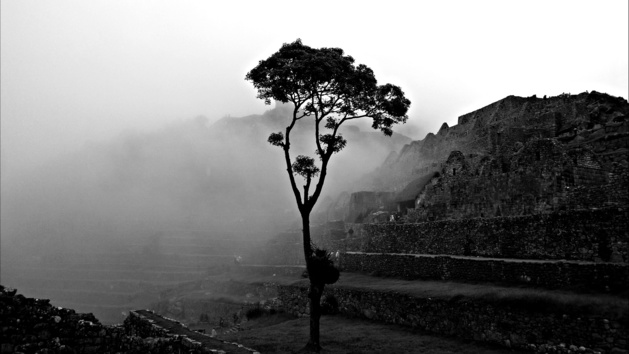 Credit Salomé Ietter Credit Salomé Ietter