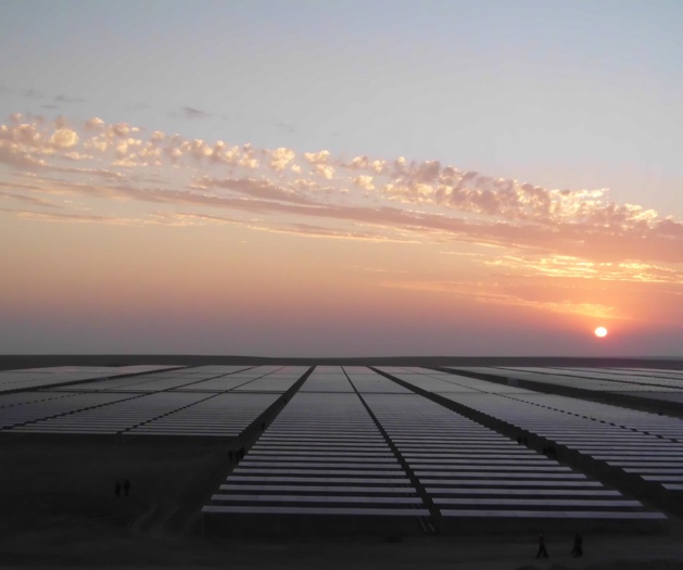 Crédit Ignacio Fuertes Crédit Ignacio Fuertes