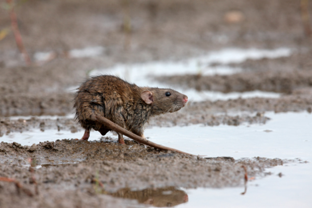 Crédit iStock Crédit iStock