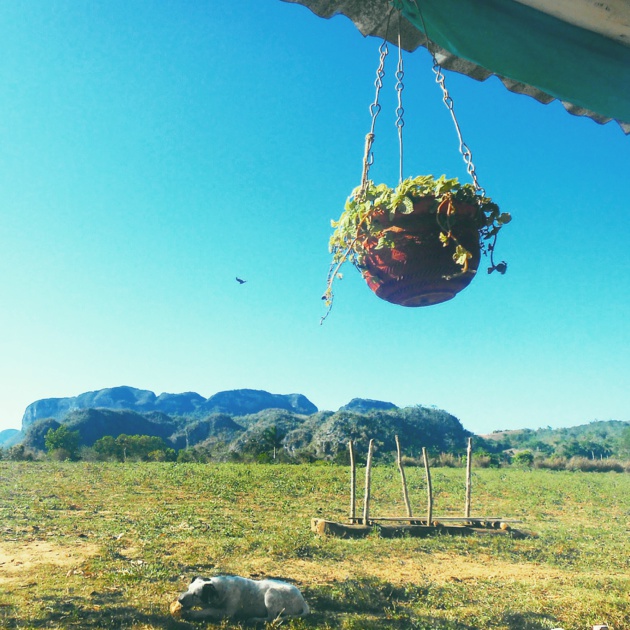 Parc national de Viñales - Crédit Virginie Urios