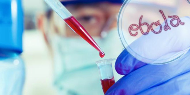 Crédit : DR Crédit : DR