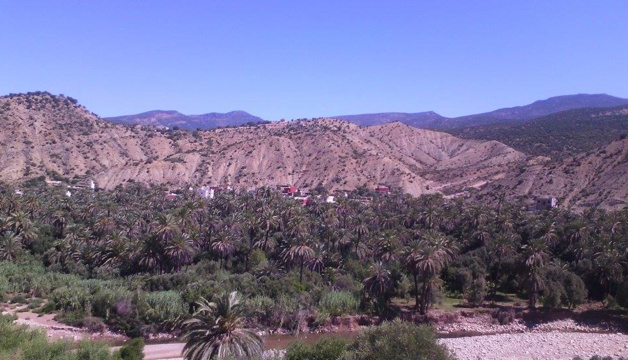 Vue sur un oasis - Crédit Carolina Duarte de Jesus Vue sur un oasis - Crédit Carolina Duarte de Jesus