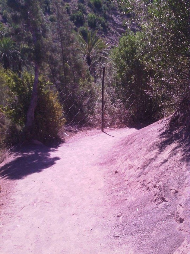Chemin en terre - Crédit Carolina Duarte de Jesus Chemin en terre - Crédit Carolina Duarte de Jesus