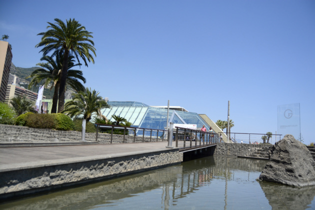 Crédit : Auriane Guiot pour le Journal International Crédit : Auriane Guiot pour le Journal International