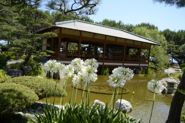 Le jardin japonais - Crédit : Auriane Guiot pour le Journal International