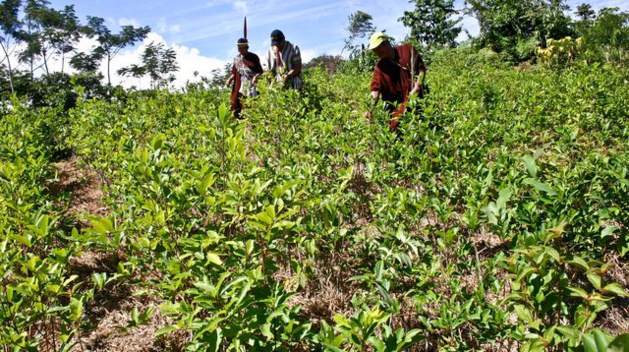 Crédit : afp.com / Hugo Ned Crédit : afp.com / Hugo Ned
