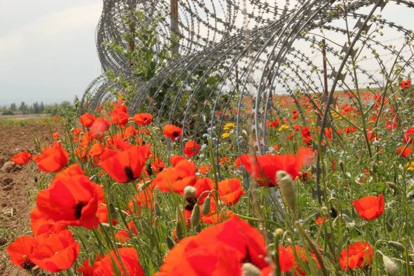 La frontière entre le Kirghizstan et le Kazakhstan - Crédit : Nadezhda Volkova La frontière entre le Kirghizstan et le Kazakhstan - Crédit : Nadezhda Volkova