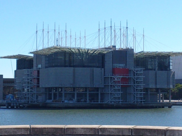 Océonarium de Lisbonne - Crédit : James le Calvez