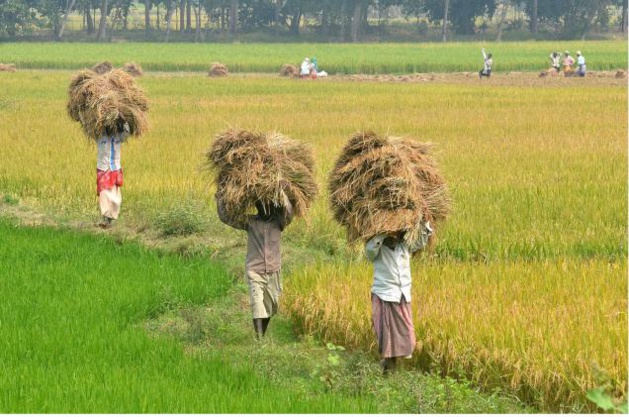 Crédit : DR Crédit : DR