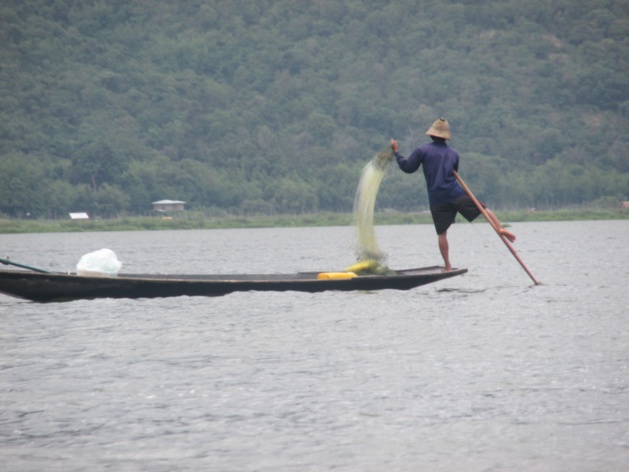 Pêcheur unijambiste au Lac Inle. Crédit : Gemma Kentish Pêcheur unijambiste au Lac Inle. Crédit : Gemma Kentish
