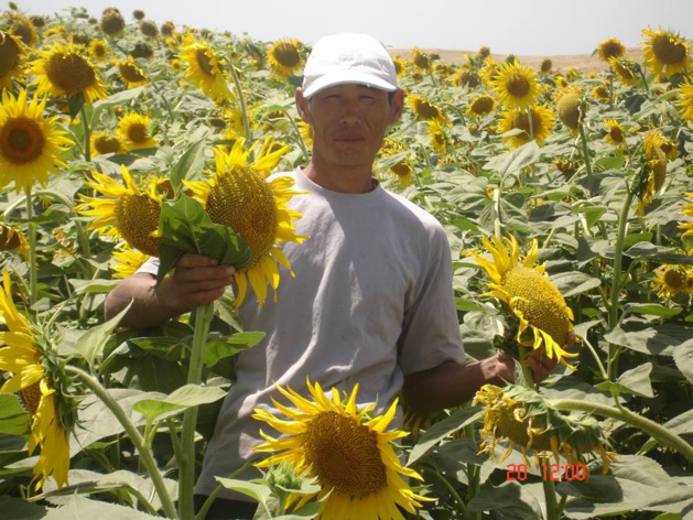 USAID soutient des projets de développement lié à l'agriculture, la santé, l'éducation et la sécurité. Crédit USAID.