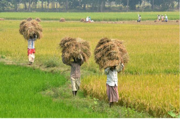 India: The Figure Modi (1/2) India: The Figure Modi (1/2)