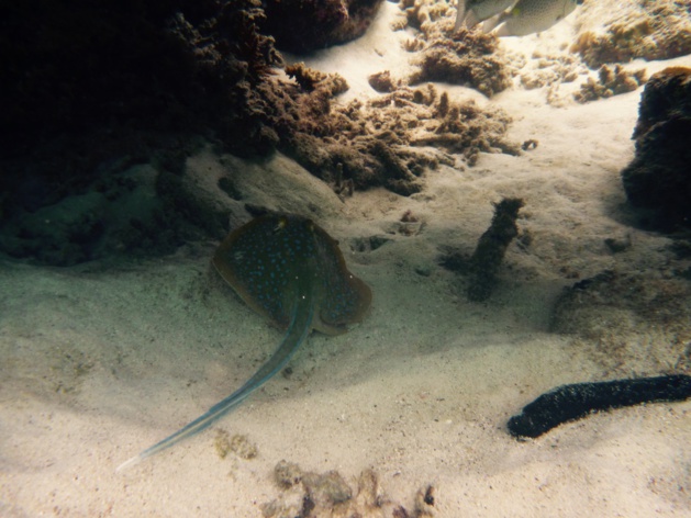 Crédit Mathilde Vinceneux Crédit Mathilde Vinceneux