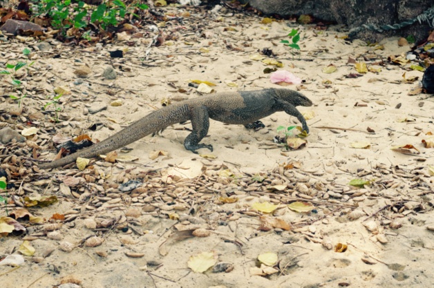 Crédit Mathilde Vinceneux Crédit Mathilde Vinceneux