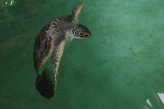 Crédit Mathilde Vinceneux Crédit Mathilde Vinceneux