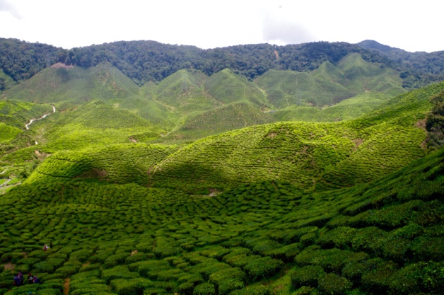 Crédit Mathilde Vinceneux Crédit Mathilde Vinceneux