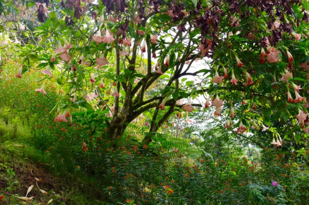 Crédit Mathilde Vinceneux Crédit Mathilde Vinceneux